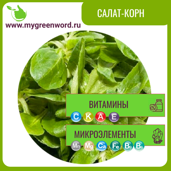 Салат Корн