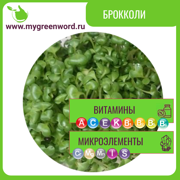 Брокколи