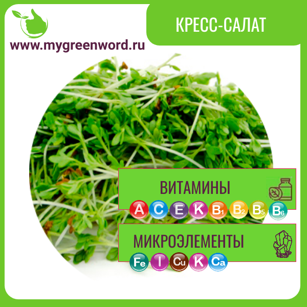 Кресс-салат
