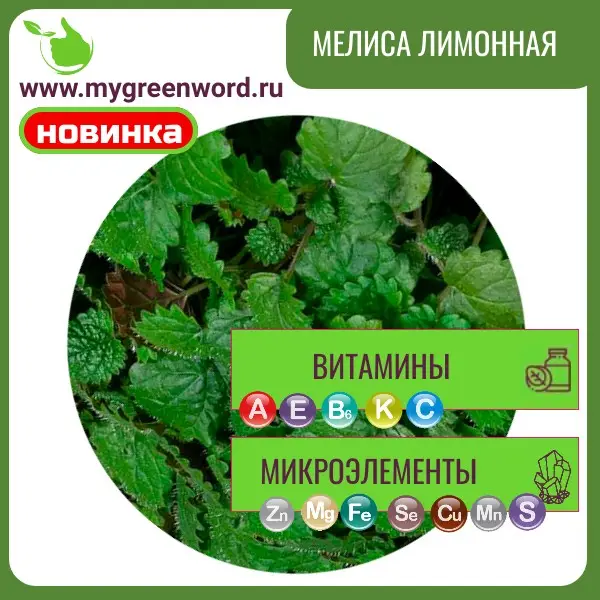 Мелисса лимонная