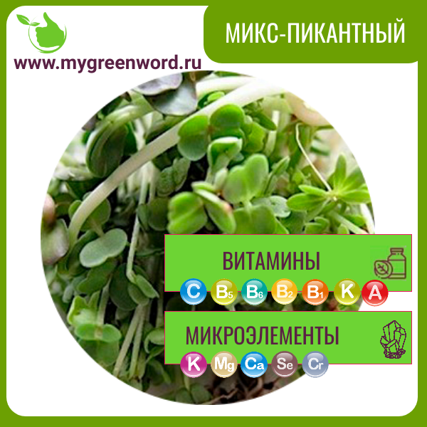 Микс "Пикантный"