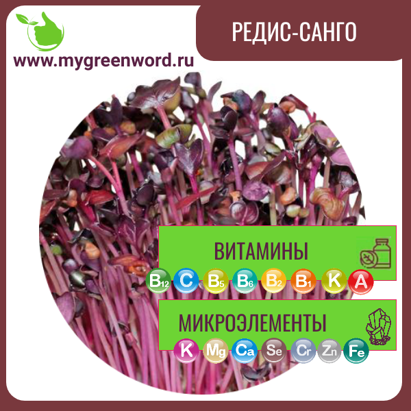 Редис Санго