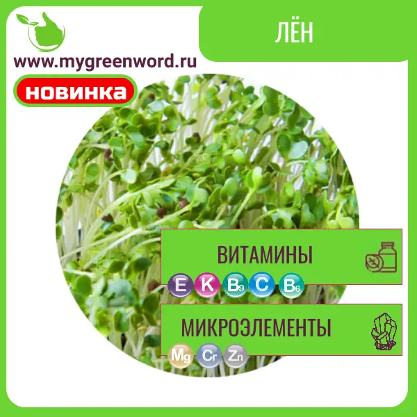 Лён