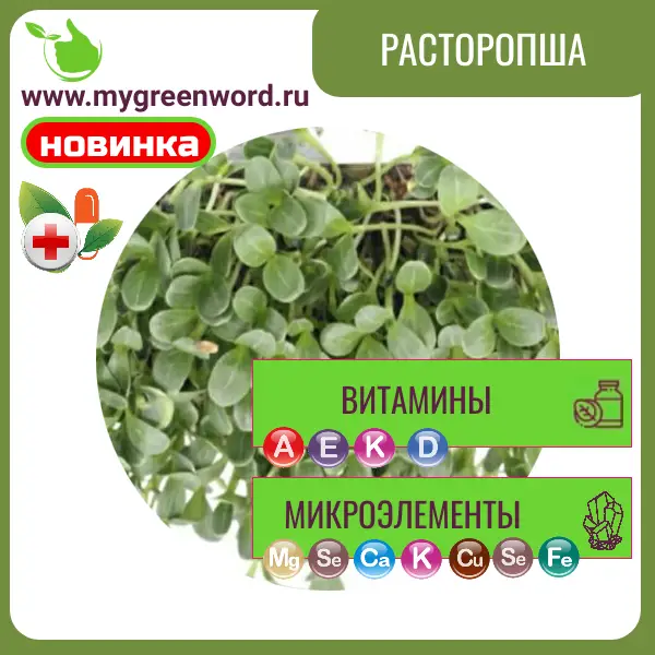 Расторопша