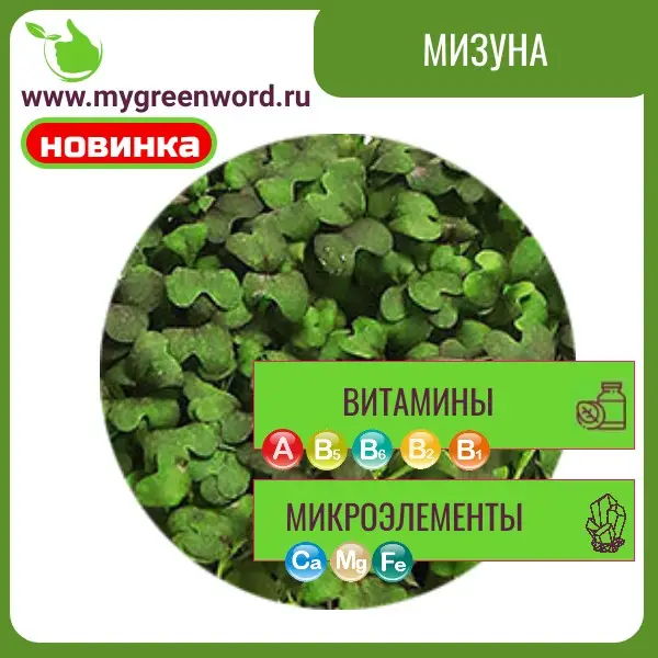 Мизуна