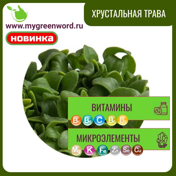 Хрустальная трава