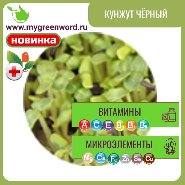 Чёрный кунжут