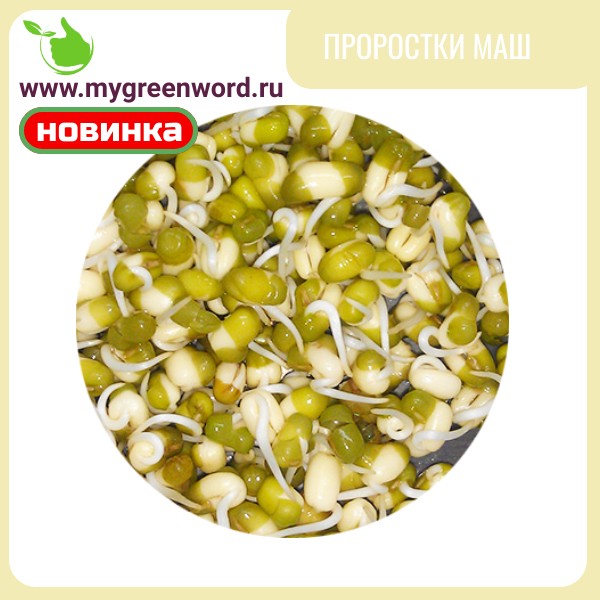 Проростки маш