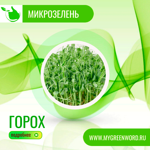 image_goroh_b