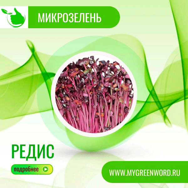 image_redis_b